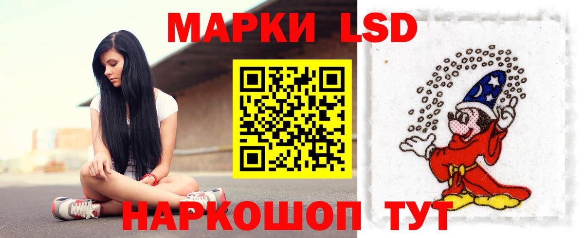 Курчалой  Лсд 25 экстази кислота  LSD-25 экстази кислота  Вход с VPN 