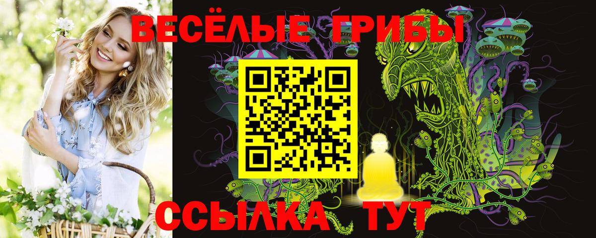 Галлюциногенные грибы мицелий Курчалой